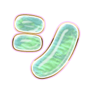 092