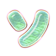 095