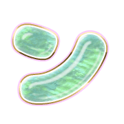 126