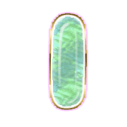 199