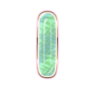 242