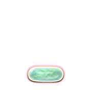 250