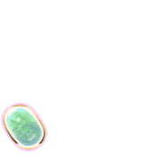 256