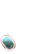 256