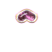 231
