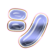 092