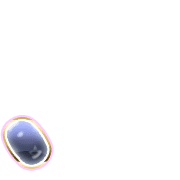 256