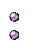 244