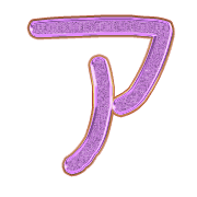 081