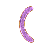 234