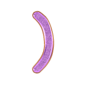 235