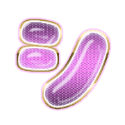 092