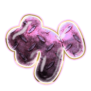 006