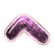 029