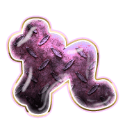 042