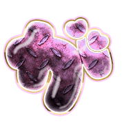 056