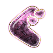 058