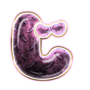 062
