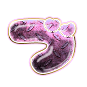 068