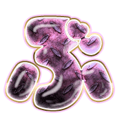 073