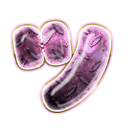 098