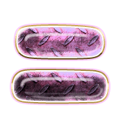 102
