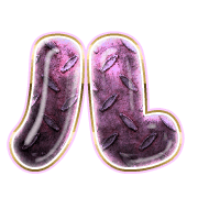121