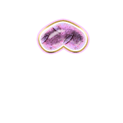 231