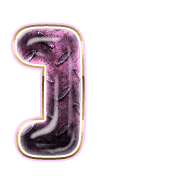 241
