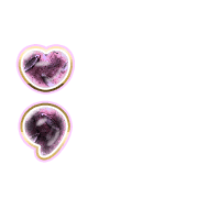243
