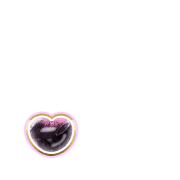 246