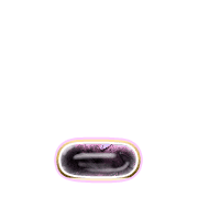 250