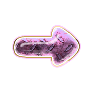 262