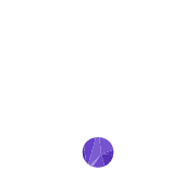 246