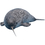 011