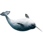 013