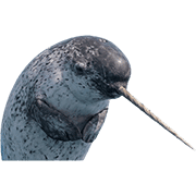 019