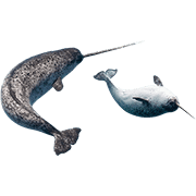 036