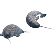 039