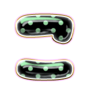 010