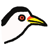 013