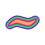 224