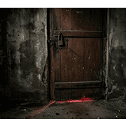 009