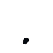 246