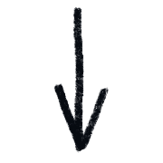 261