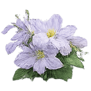 018
