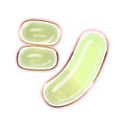092
