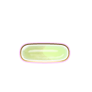 161