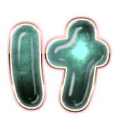 009