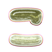 010